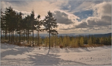 <p>Krkonoše - na Čertově hoře</p>